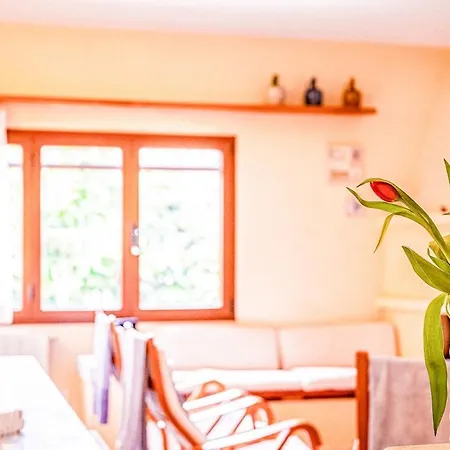 Villa Oleandro Independent & Downtown